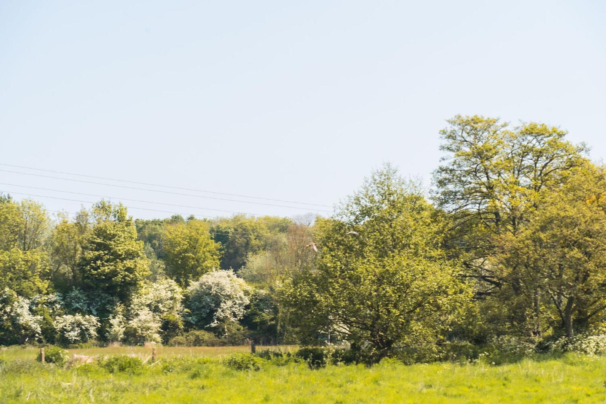 Waterfield House B&B Dorchester Luaran gambar