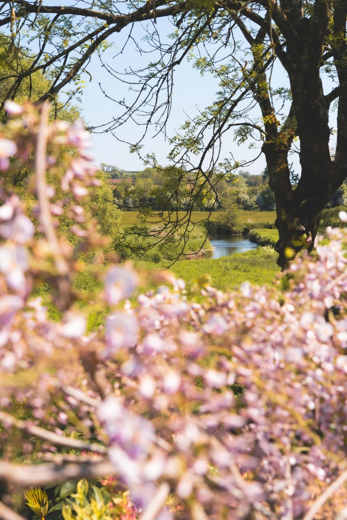 Waterfield House B&B Dorchester Luaran gambar