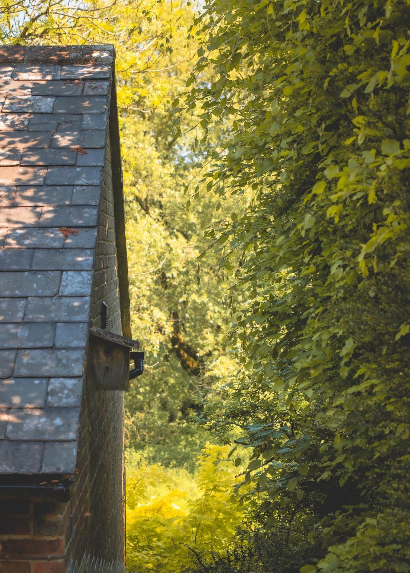 Waterfield House B&B Dorchester Luaran gambar